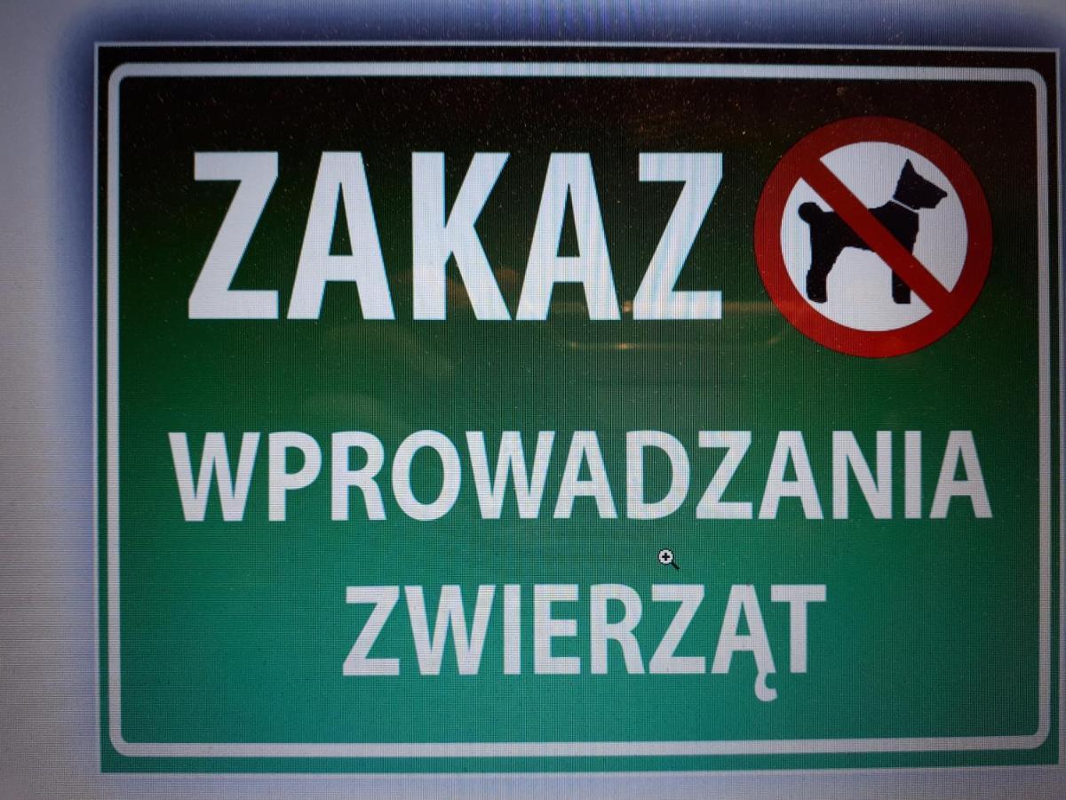 Głogów Przy Chopina Glogów Exterior foto